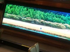 -柴米油盐三杯鸡(象山北路店)