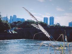 -望江楼公园