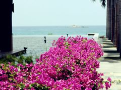 -三亚亚龙湾红树林度假酒店