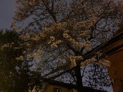 -邓邓胖姐拌面(濉溪路店)