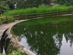 -成都市活水公园