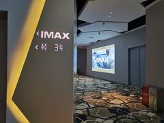 -星河寰宇IMAX影城(星河WORLD·COCO Park店)