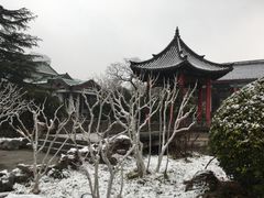 -山东大学(千佛山校区)