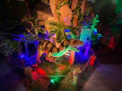 点击看大图 -恐龙探索乐园(磁器口店)