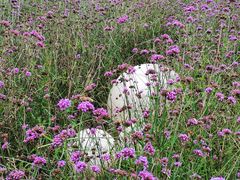 -云峰山自然风景区