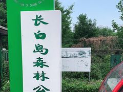 -长白岛森林公园