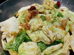-丁老爷子苏香圆