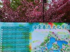 -陶然亭公园