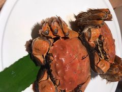 江南醉六月黄蟹-苏小柳点心·手作小笼包(新街口分院店)