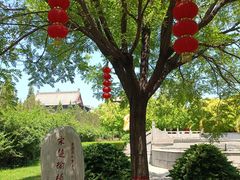 -大槐树寻根祭祖园