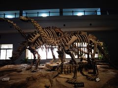 -自贡恐龙博物馆