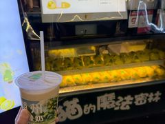 -猫的魔法密林(衣裳街店)