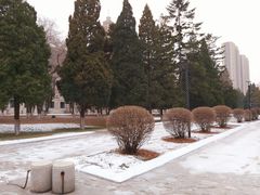 环境-东北大学(南湖校区)
