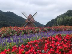 -广州市石门国家森林公园