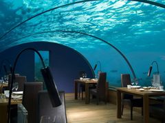 -黑孩油栗皇(南阳路店)