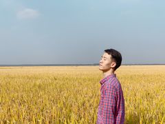 -上海崇明金茂凯悦酒店