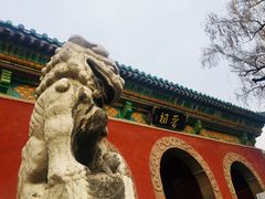 -晋祠公园