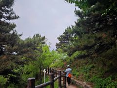 -北京十三陵国家森林公园蟒山景区