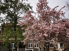 -天津五大道文化旅游区