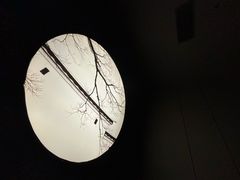 -鹤祥宫·影院足道·SPA连锁(鸿尊布吉店)