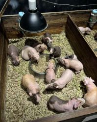 -酷嗒动物文化乐园(cutezoo西溪乐天城店)