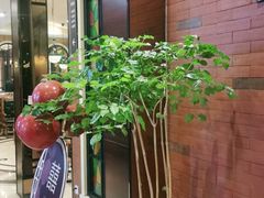 -城南往事·鲁菜济南菜(长清园博园恒大绿洲店)