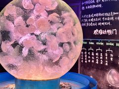 -正佳极地海洋世界