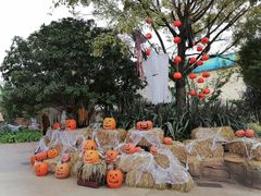 -七彩云南欢乐世界