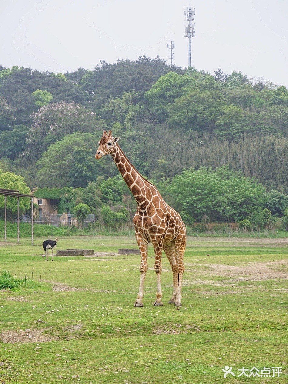 人生第一次 春游大作战