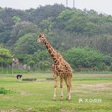 人生第一次 春游大作战