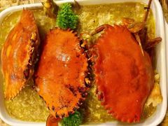 -茉莉.Red Crab