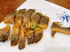 -富豪酒家(正大广场店)