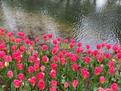 -上海滨江森林公园