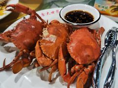 -四姑娘川味海鲜(八爪鱼店)