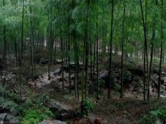 -众神白水涧景区