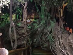 -上海大自然野生昆虫馆(东方明珠·爬宠昆虫探索中心)