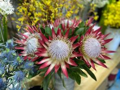 -双季花艺园艺市场(浦东店)