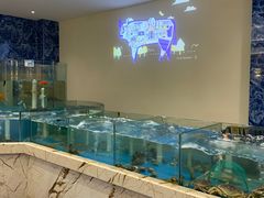 水产区-田园肥牛鲍鱼先生(新北店)