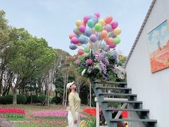 -上海鲜花港