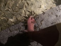 -明谷行馆·温泉