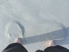 -贝壳沙滩