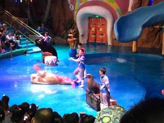 -烟台海昌鲸鲨海洋公园