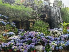 -上海鲜花港