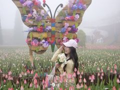 -河南宝泉旅游区