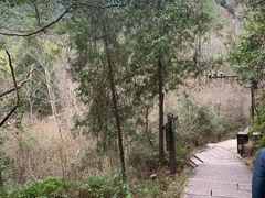 -楠溪江石桅岩