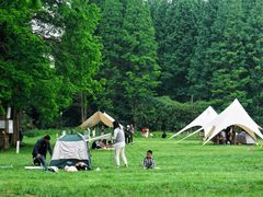 -黄海国家森林公园