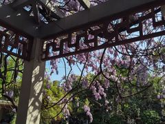-郑和公园