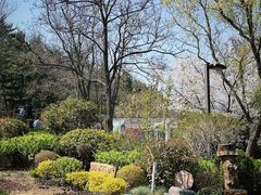-北岭山森林公园