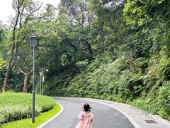 -云溪植物园