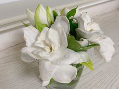 -芜湖白金汉爵大酒店